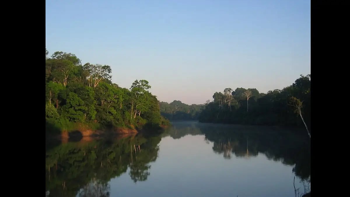 Brazil Official: Police Find Human Remains In Amazon Search
