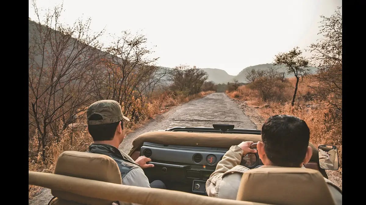 A safari through the heart of Ranthambore