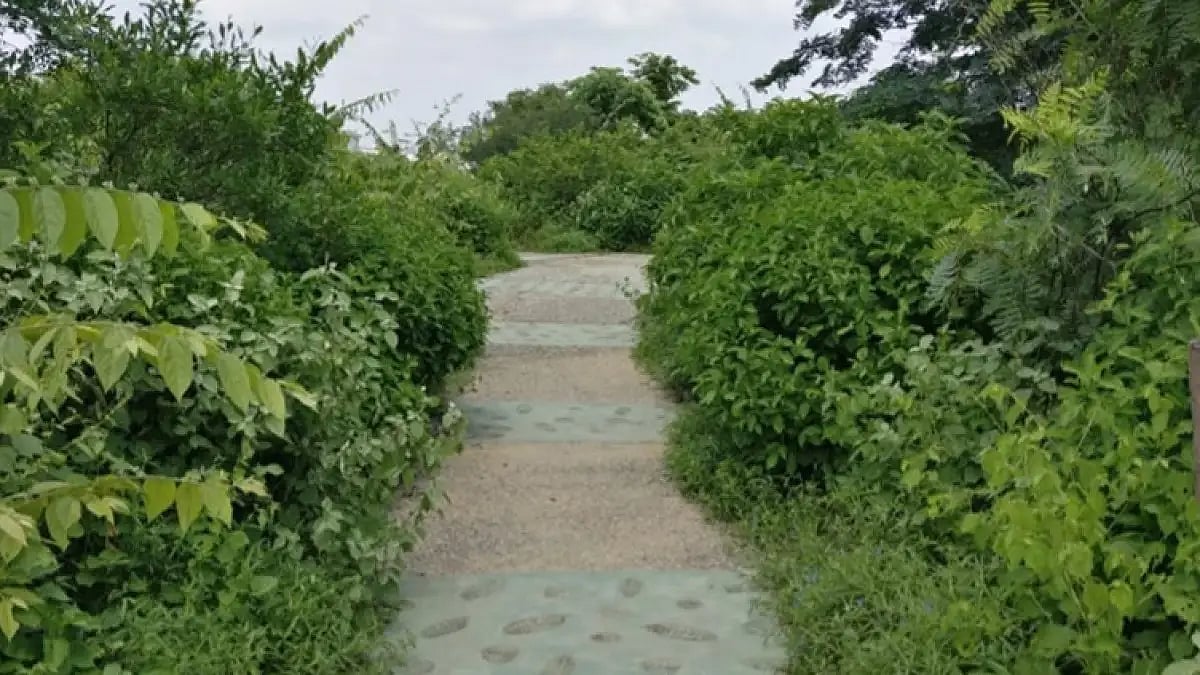 Aravali Biodiversity Park was declared India’s first “other effective area-based conservation measur