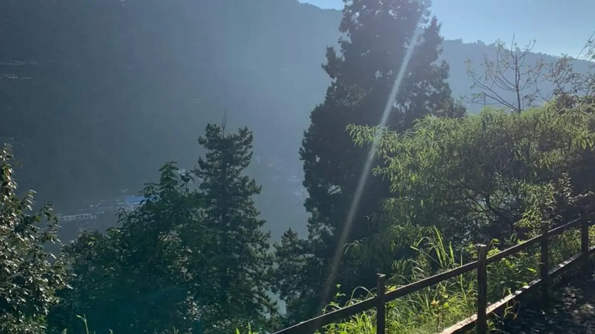 Our view on a morning trek in the city