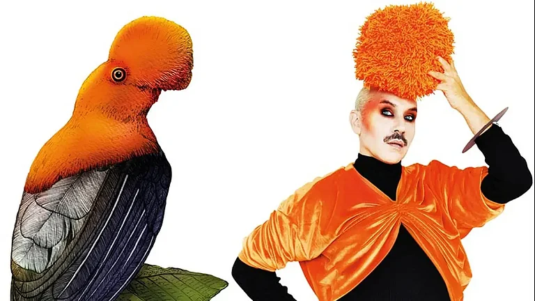 Birds Can Fly, a body of work by Paul Harfleet. - null