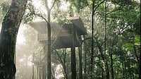 6 Treehouses To Isolate In Right Now Fulfill your childhood dream of staying in a treehouse