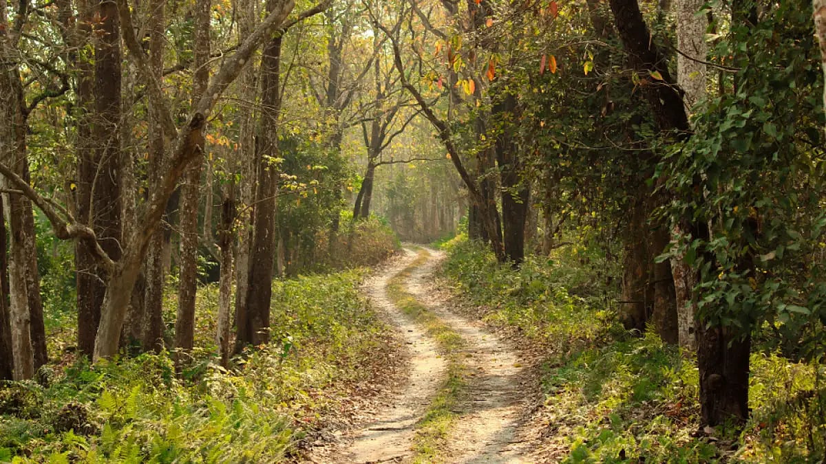 Assam Government Greenlights Second Wildlife Sanctuary In Barak Valley