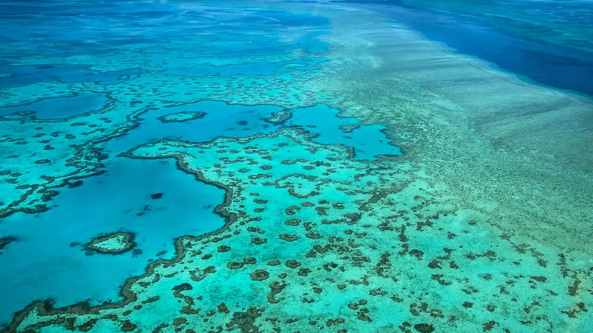 An aerial view of Great Barrier Reef, Australia