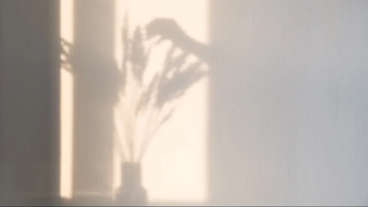 Poems: The landscape of home, love, solitude and infinity. 