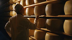 Inspecting cheese wheels in Italy