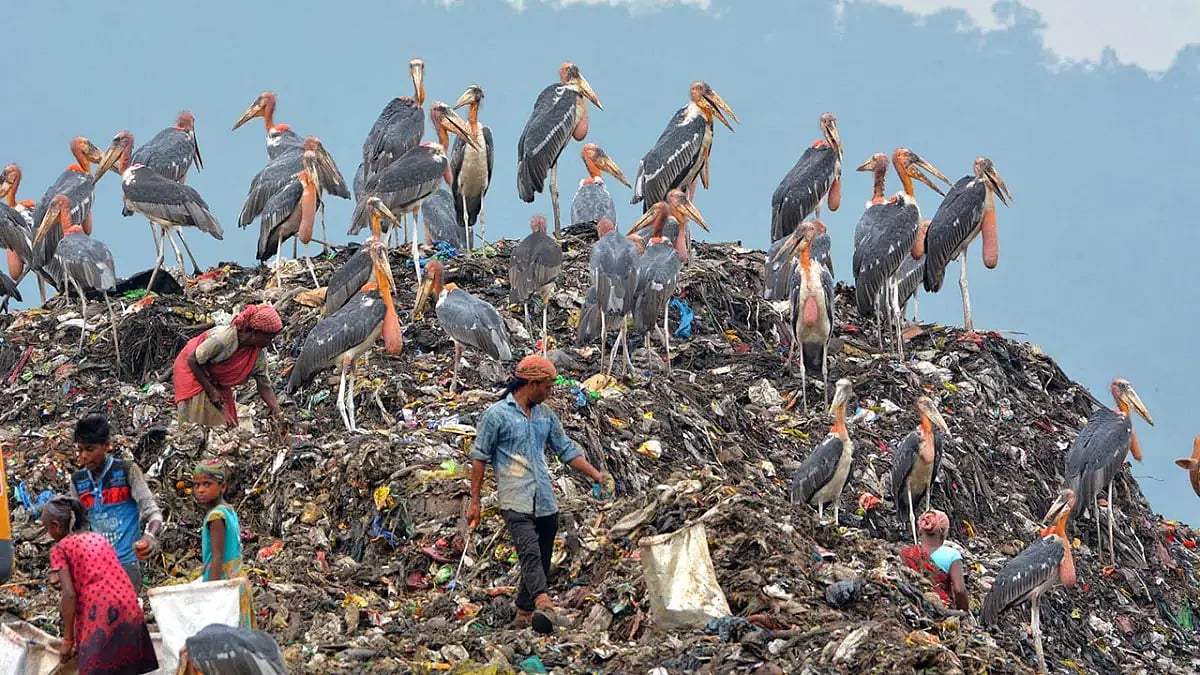 Indias Waste Disposal Crisis In Limelight This World Environment Day