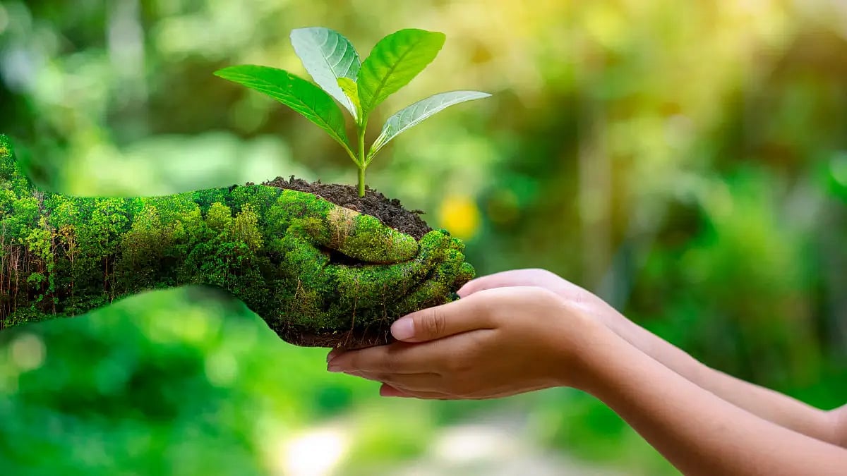 World Environment Day