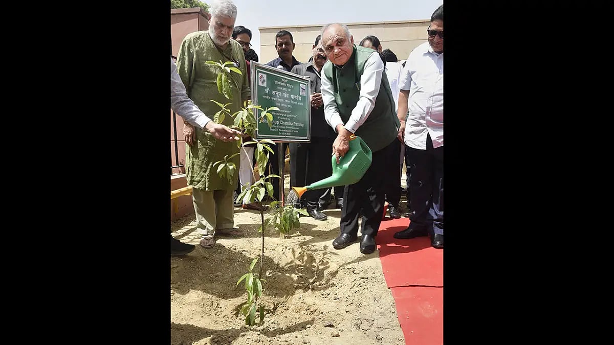 World Environment Day: Native varieties of tree saplings planted in Tamil Nadu Raj Bhavan
