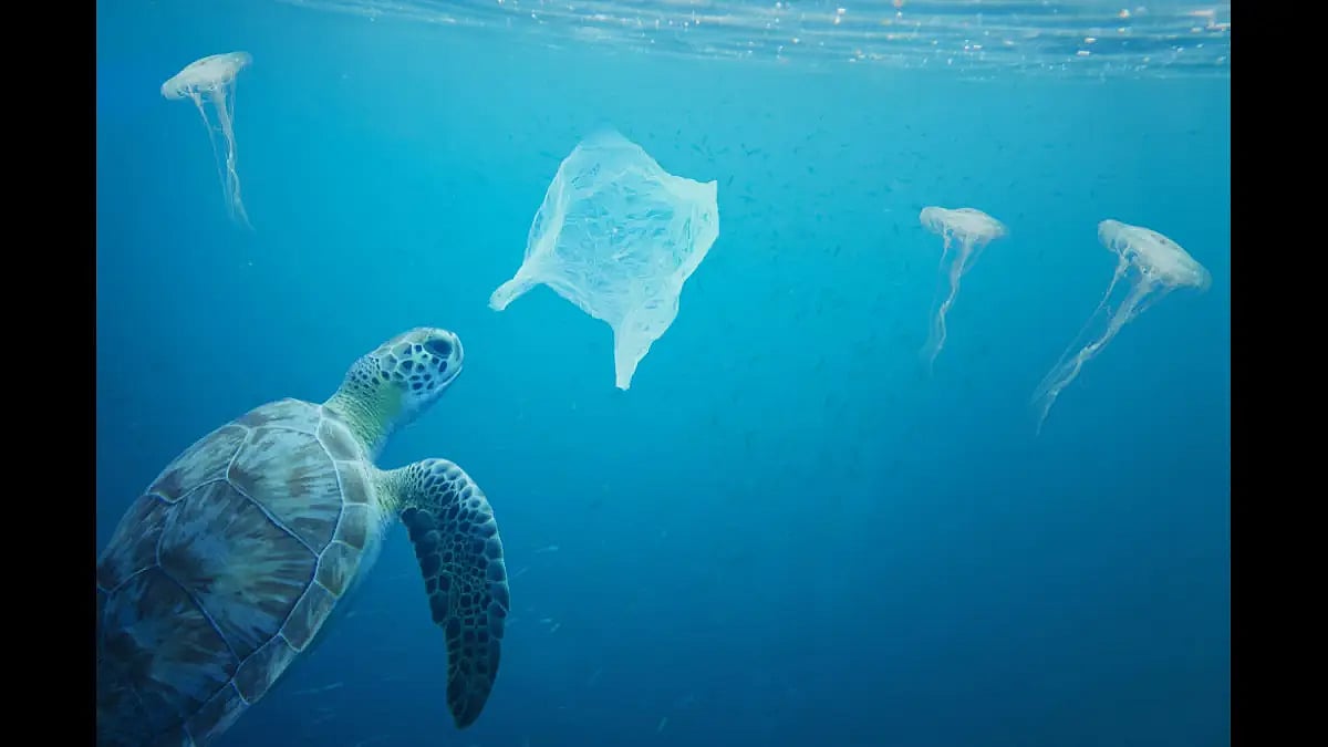 Dispose responsibly: A turtle cannot distinguish between a plastic bag and jellyfish