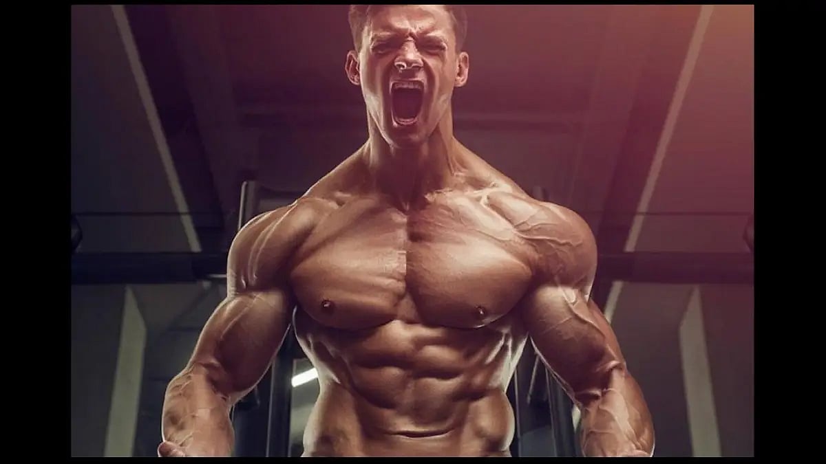 bodybuilder