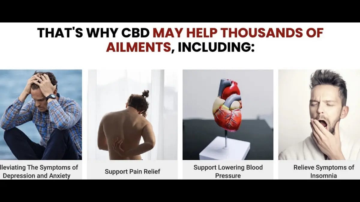 CBD Gummies