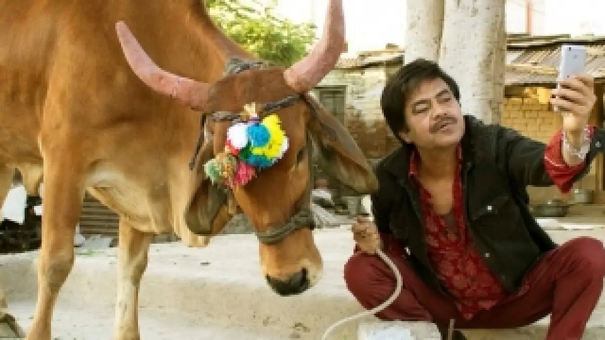 Sanjay Mishra-Starrer 'Holy Cow' Poster Is Intriguing, Humorous
