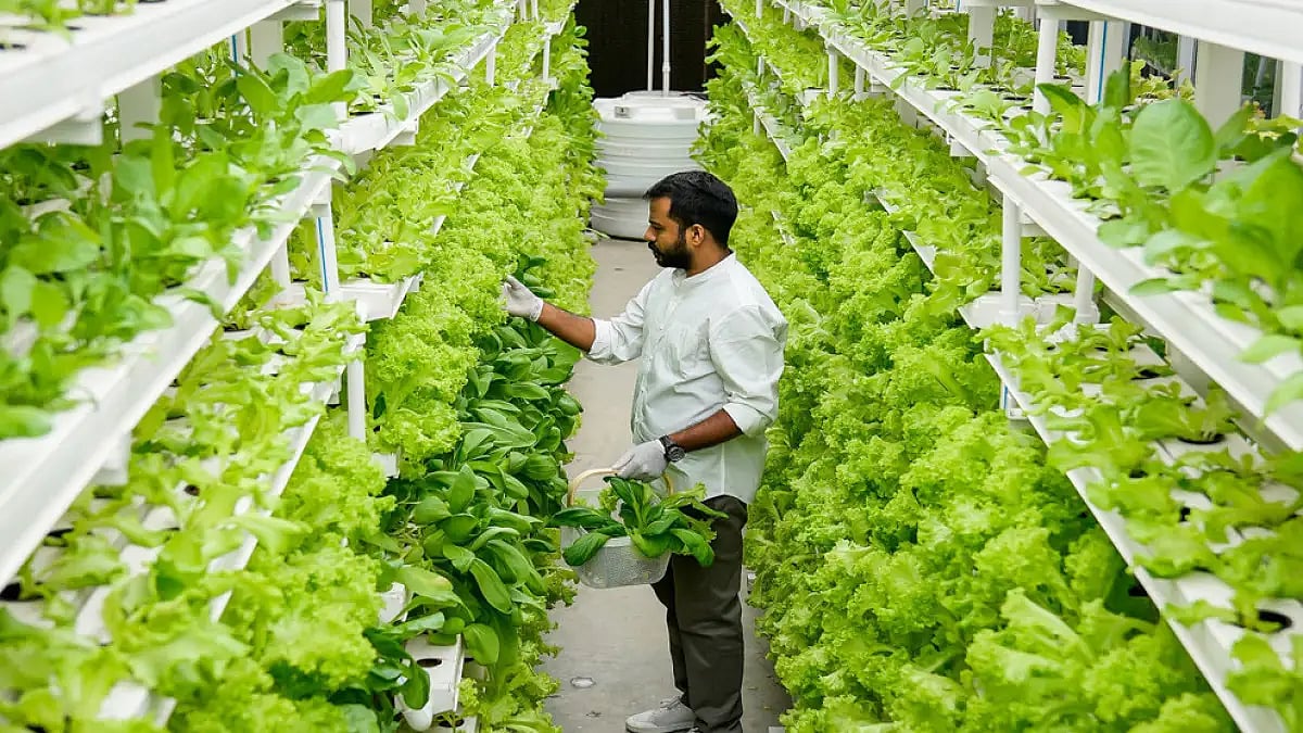 The West Bengal Assembly passed a bill, of two state-run agricultural universities. 