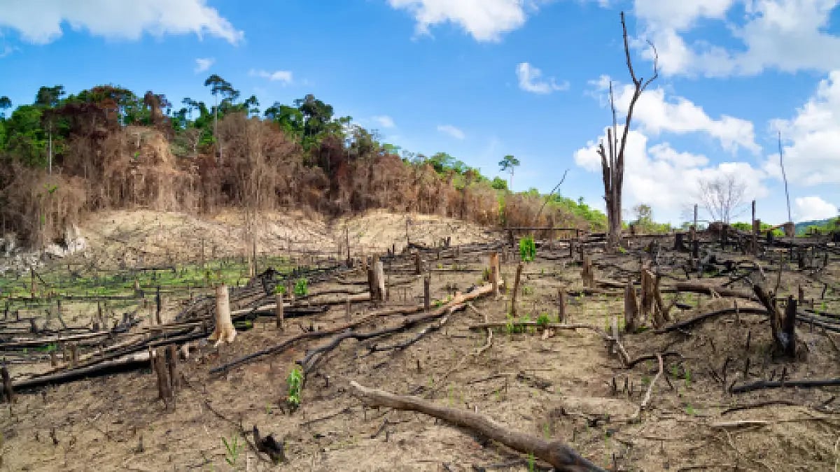 Painting the walls before they collapse; Climate change. - File Photo