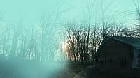 Climate Is A Refugee: The Story Of Nature And Man In Poetry Climate Is A Refugee: The Story Of Nature And Man In Poetry