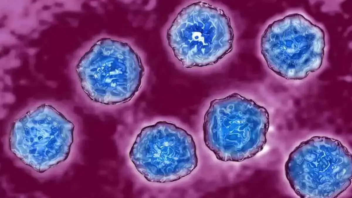 Explained: Polio Virus Discovery In London, Its Significance, And Polio's Global Status