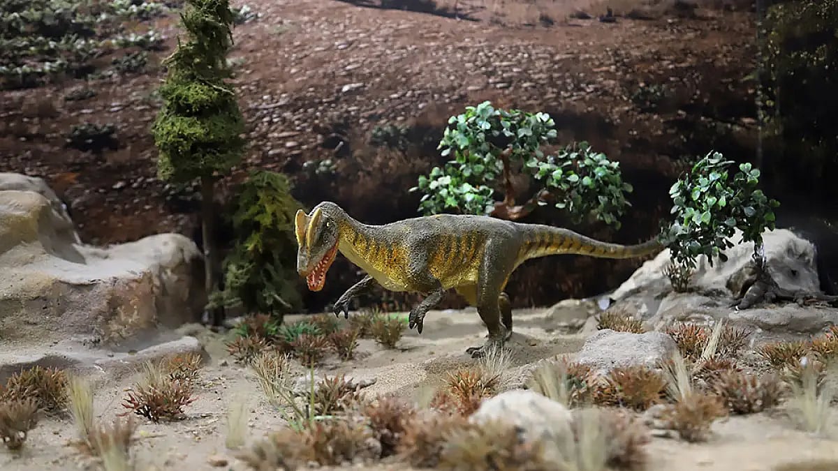 MCD Begins Project To Bring 'Dinosaurs' To Delhi