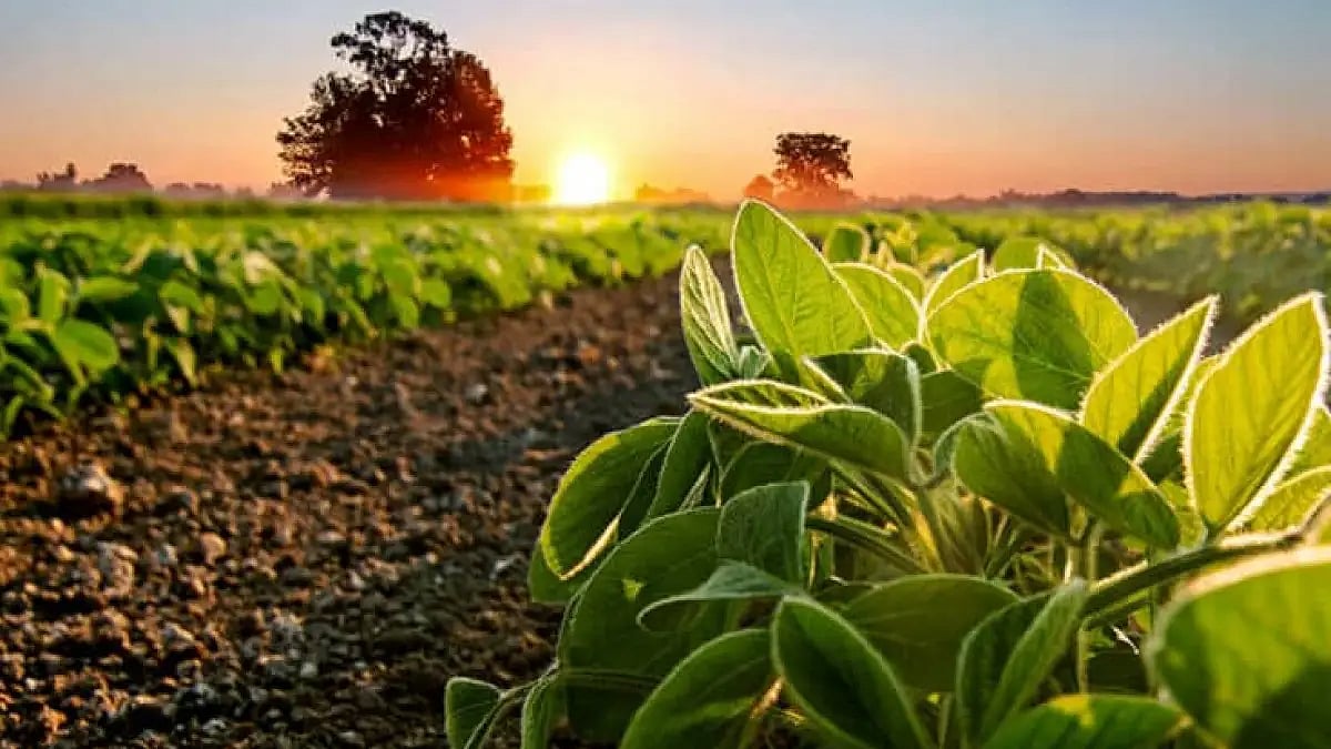 Agriculture 4.0 (Representational Image)