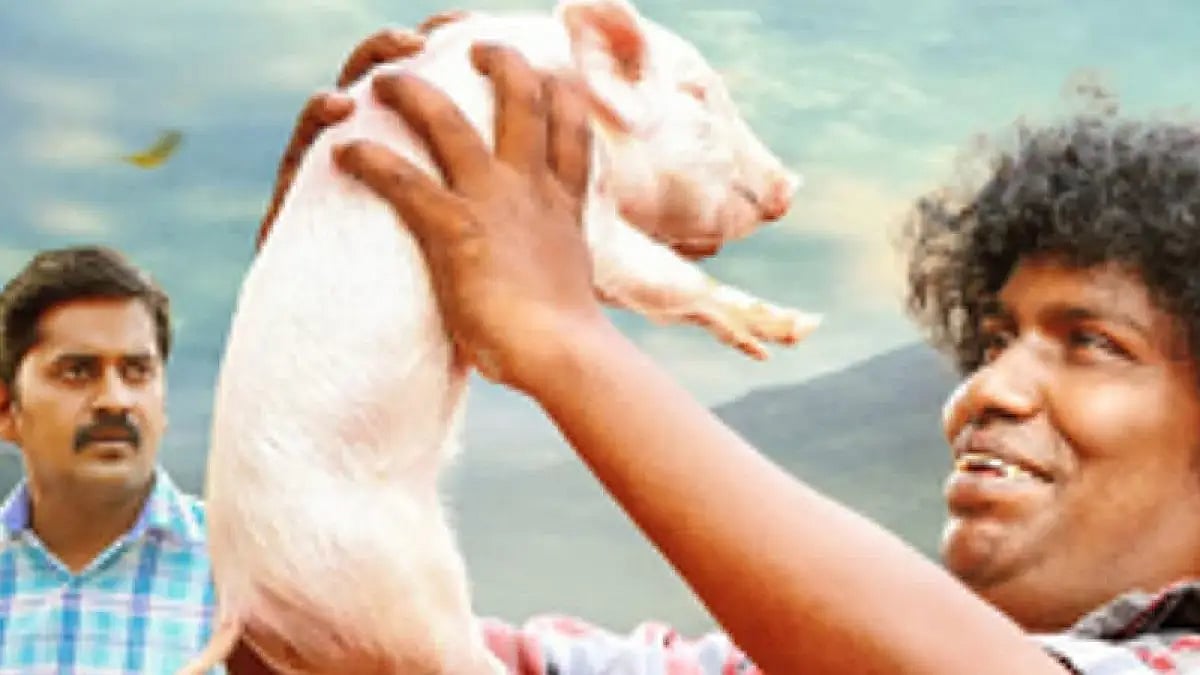 'Panni Kutty'