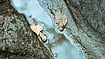 Monsoon In Nagaland: Dust In The Wind, Mud On The Ground Monsoon In Nagaland: Dust In The Wind, Mud On The Ground