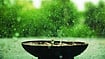 Drenched In Music: Indian Monsoons Birth Melodies And Freedom Drenched In Music: Indian Monsoons Birth Melodies And Freedom