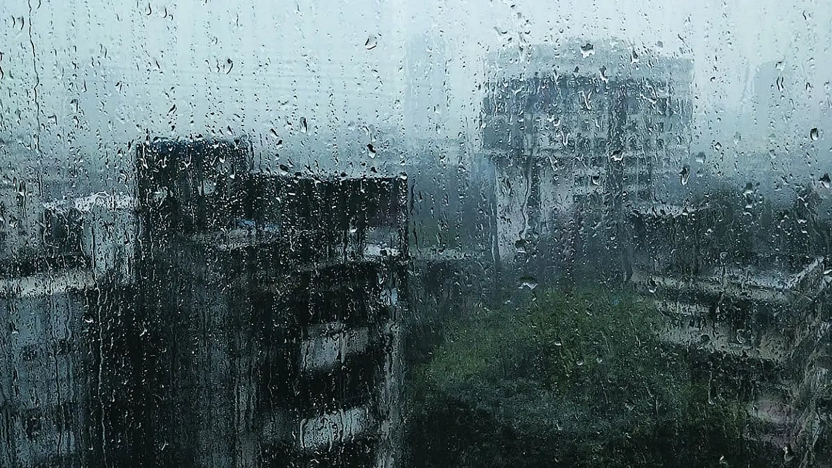 Rain Intensity To Rise Over Next 4-5 Days In Konkan, Madhya Maharashtra, Marathwada, Says IMD