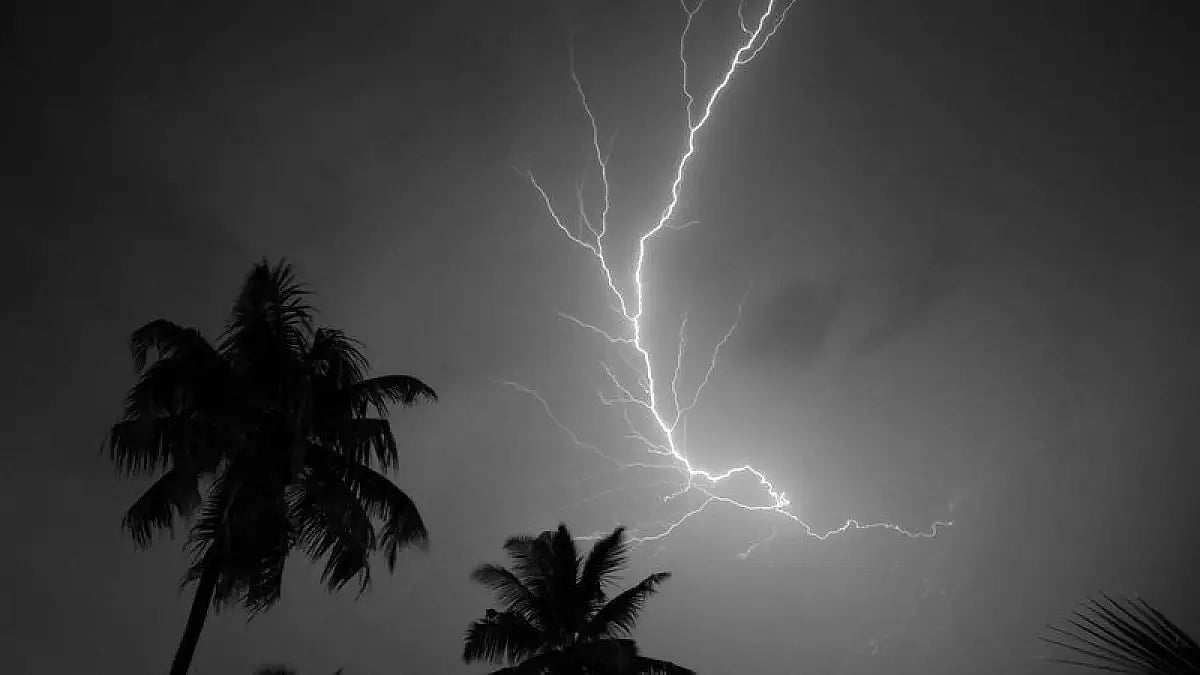 UP: 14 Killed By Lightning, CM Announces Rs 4 Lakh Compensation For Kin