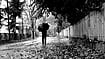 Monsoon and memories