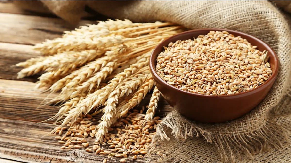 Ukraine is among the largest food and grain exporters in the world