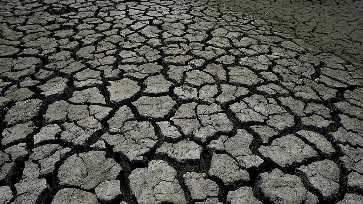 Poor Rainfall Lowers Water Level In Most Jharkhand Reservoirs