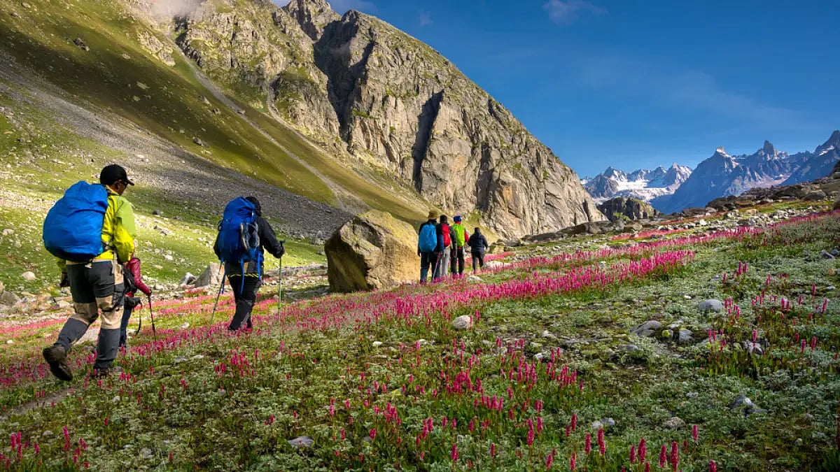 Travellers have to seek permission from the forest department and administration