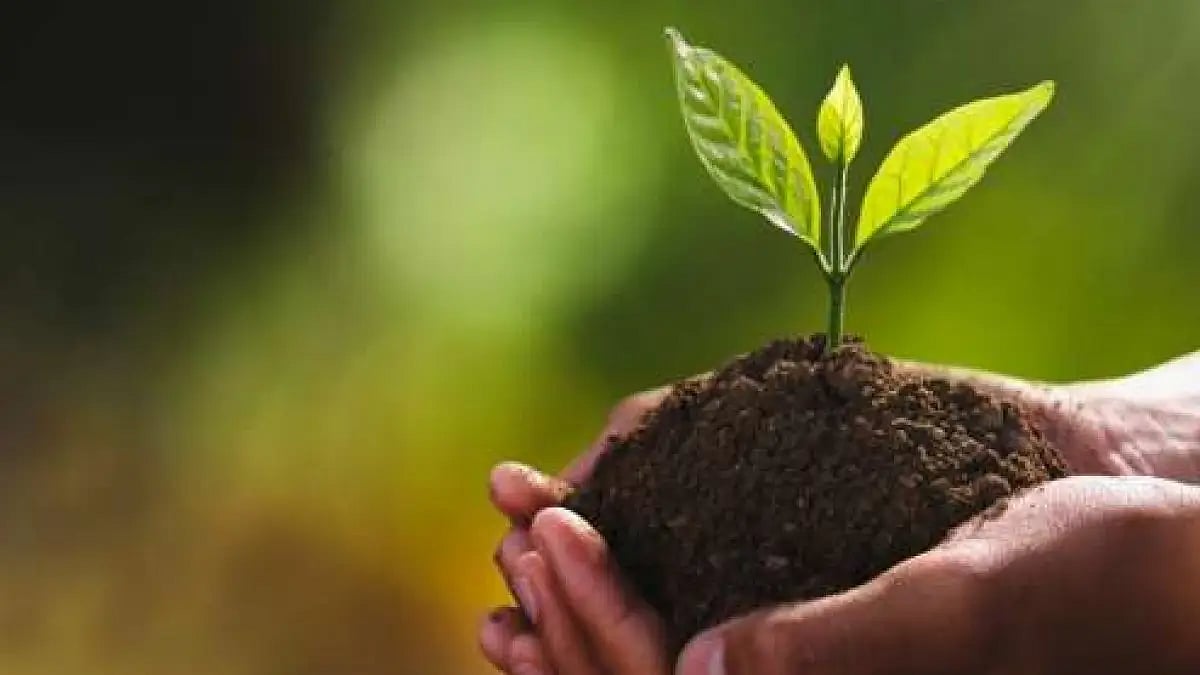 Delhi Minister Rajendra Pal Gautam Urges Residents To Plant At Least One Sapling To Fight Pollution