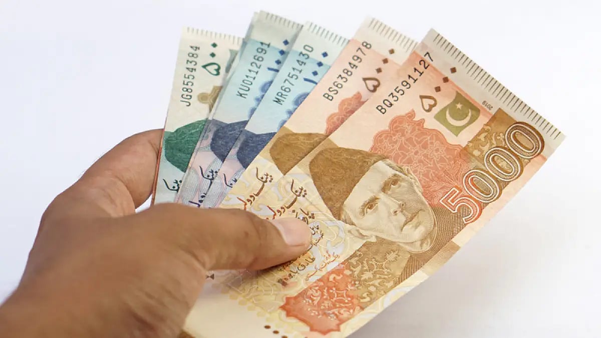 Pakistan rupee notes