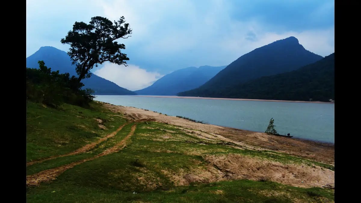 Odisha Government Reports High Levels Of BOD & TC In The Mahanadi And Brahmani River
