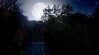 And just one day later, I was sitting in the moonlight flooded beehed...