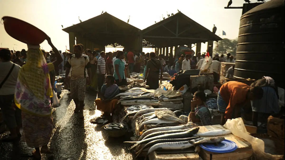 Bombay fish market. 