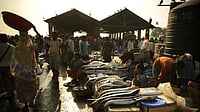 Mumbai Versified, Two Poems Bombay fish market.