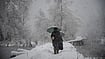 Awakening: A Tale Of Metamorphosis In Kashmir Winter in Kashmir