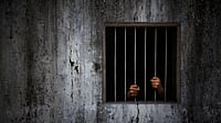 A court this month acquitted 121 adivasis after they had spent five years in jail
