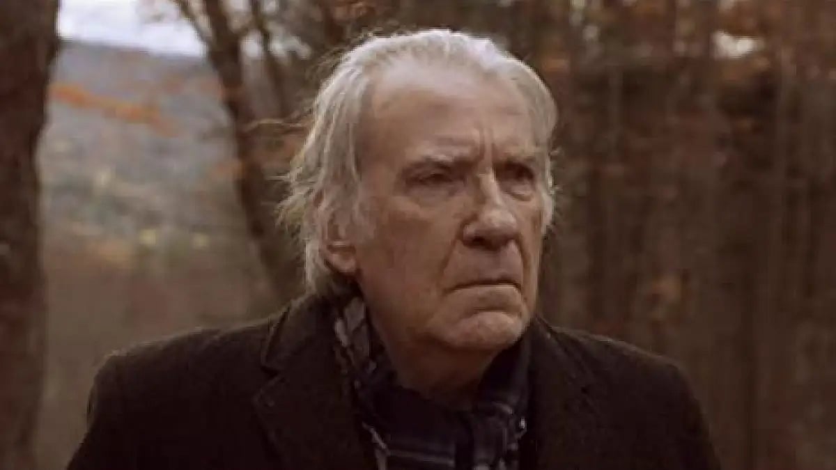 David Warner 