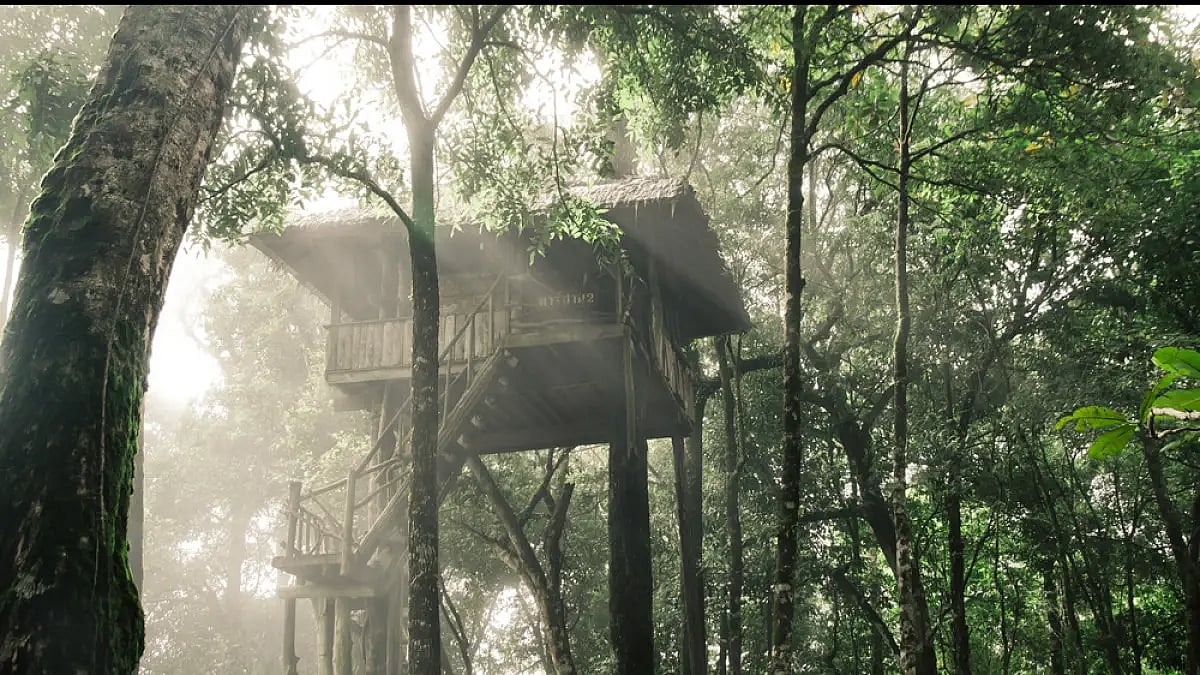 Treehouses are among the most popular stay options