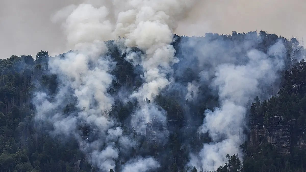 Forest On Fire: Wildfire Ravages National Park In Germany
