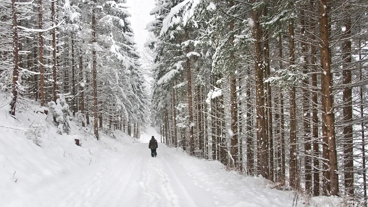 Poems: It Snows And Rains