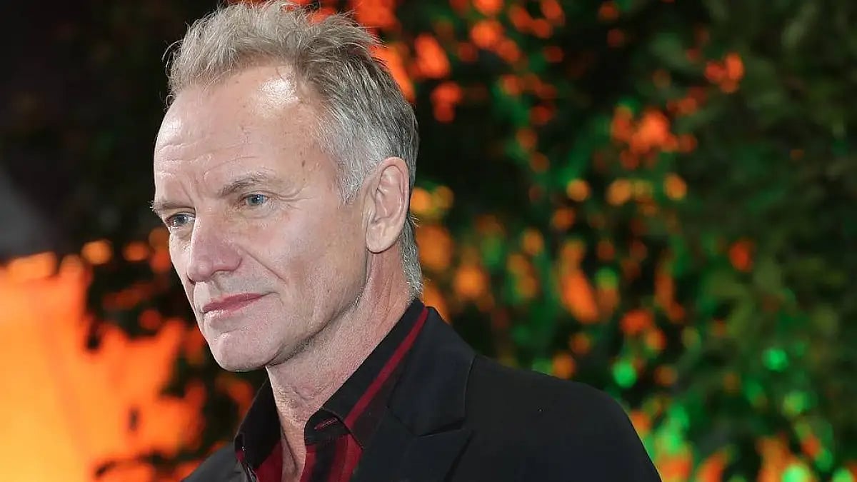 Musician Sting 