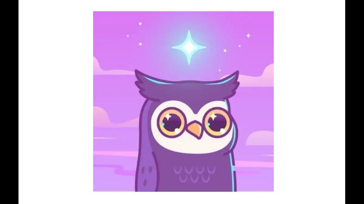 Star Birdies