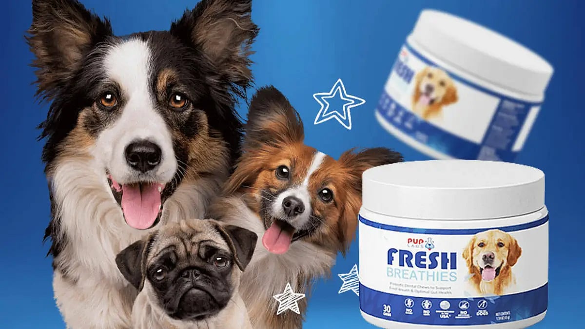Fresh Breathies Reviews
