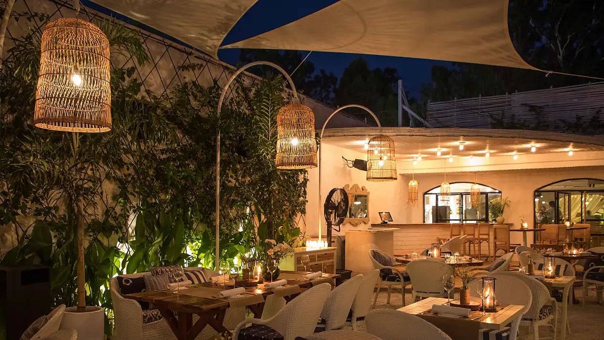 Olive Cafe and Bar