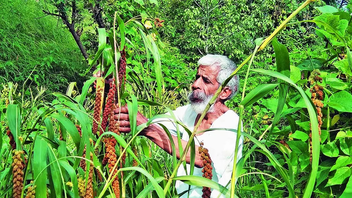 We The People: The Seed Wizard Of Tehri Garhwal