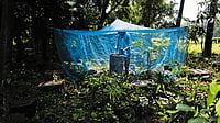 We The People: The Migratory Beekeepers Fighting To Keep Bees And The Planet Alive We The People: The Migratory Beekeepers Fighting To Keep Bees And The Planet Alive